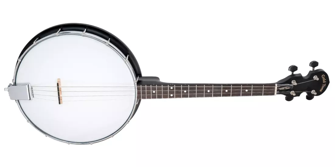 AC-4IT 4-String Openback Irish Tenor Banjo with Gigbag