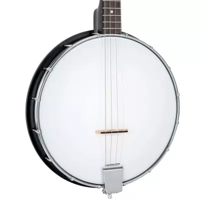 AC-4IT 4-String Openback Irish Tenor Banjo with Gigbag