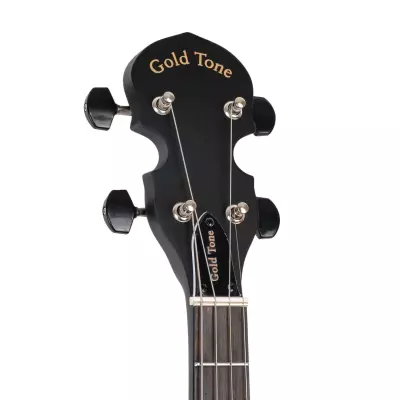 AC-4IT 4-String Openback Irish Tenor Banjo with Gigbag