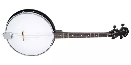 AC-4IT 4-String Openback Irish Tenor Banjo with Gigbag