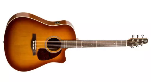 Entourage Acoustic Guitar - Rustic CW GT QI