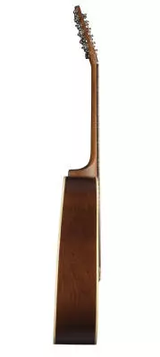 Coastline S12 Cedar 12-String Acoustic Guitar