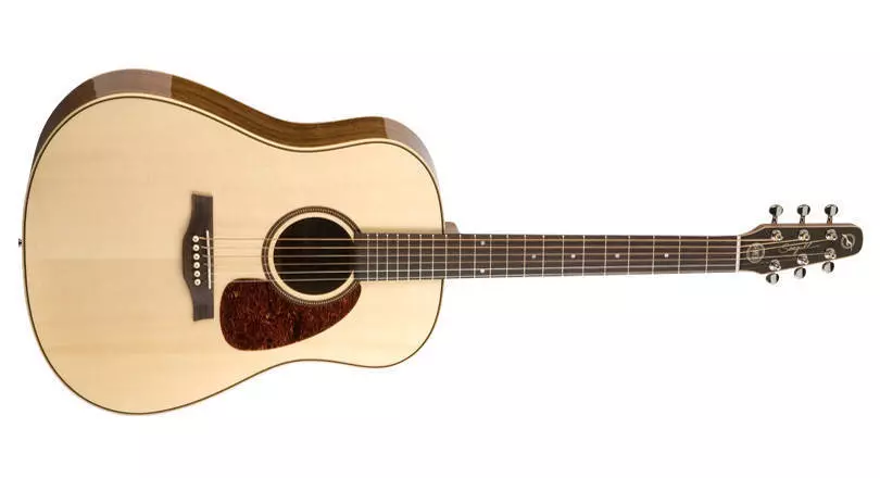 Maritime SWS Acoustic/Electric Guitar HG QI
