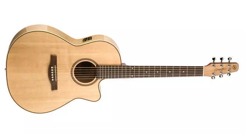 Performer Cutaway Folk QI avec étui - Érable flammé