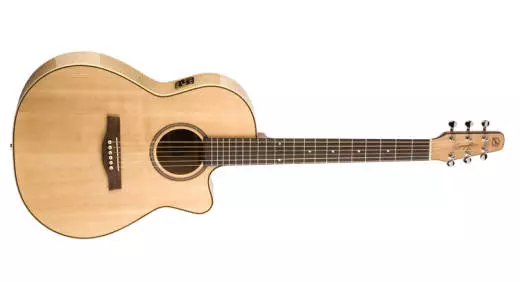 Performer Cutaway Folk QI avec tui - rable flamm