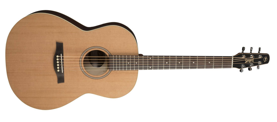 Coastline S6 Cedar Folk Acoustic Guitar