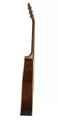 Coastline S6 Cedar Folk Acoustic Guitar