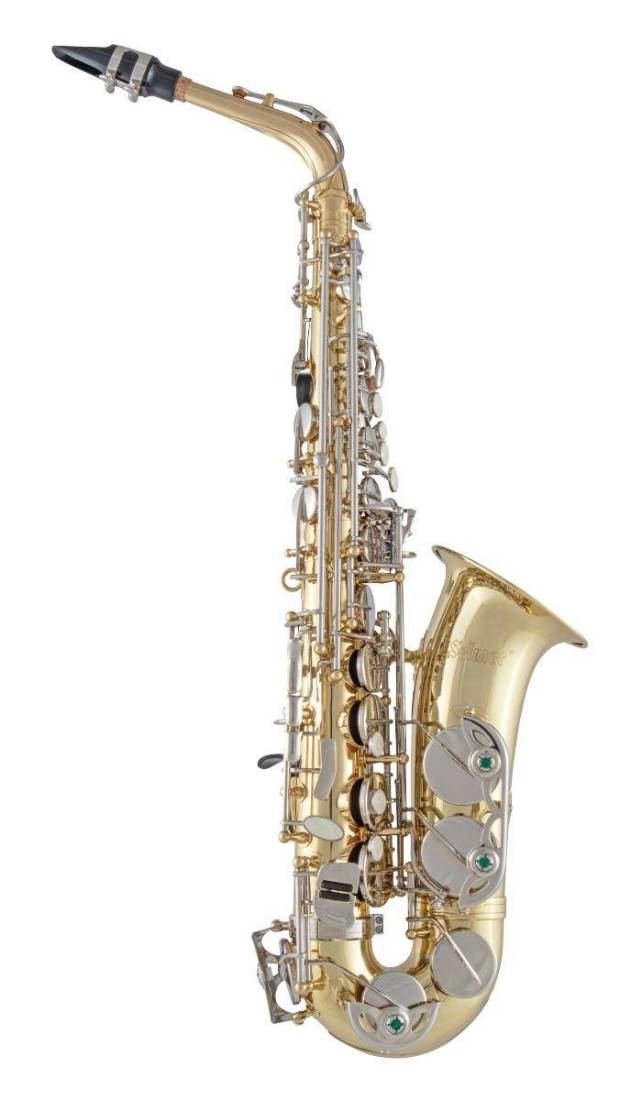Student Alto Saxophone Outfit