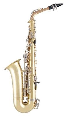 Advanced Student Alto Saxophone with Rose Brass Neck