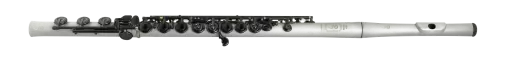New Voice Plastic C Flute - Grey