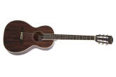 Denver - 38 Parlour Mahogany Acoustic Guitar