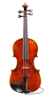 Eastman Strings - VL701-EAV Electro Acoustic 4/4 Violin with Pernambuco Bow