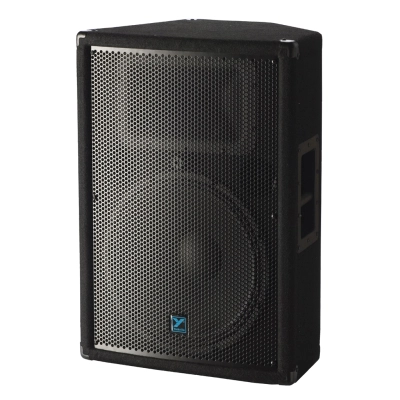 Yorkville Sound - 300-Watt 15 Inch + Horn PA Cabinet