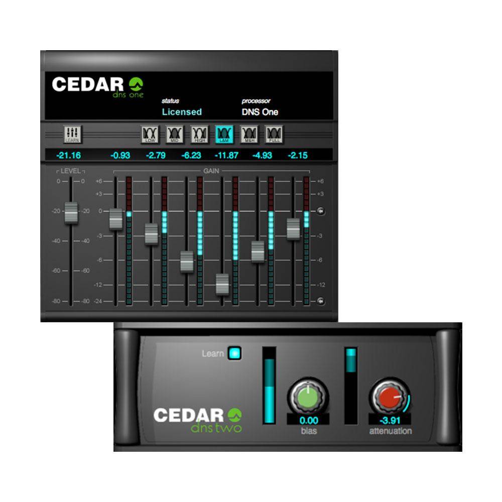 CEDAR Studio 9 DNS for Mac