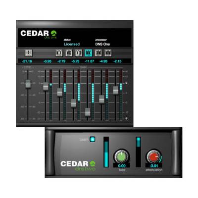 CEDAR Audio - CEDAR Studio 9 DNS for Mac