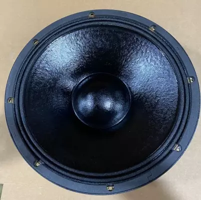 15 Inch 8 Ohm 800 Watt Raw Speaker