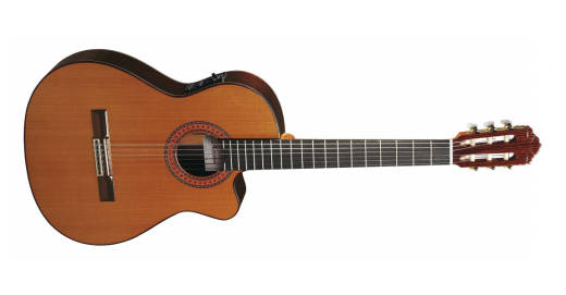 435 CW Classical Guitar Cedar/Laminated Rosewood w/ E8 Fishman Electronics