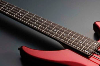 300 Series 5 String Bass Guitar - Black