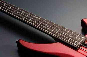 300 Series 5 String Bass Guitar - White