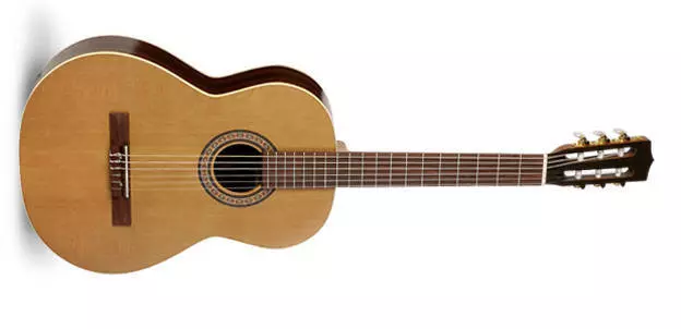 Electric Nylon String Guitar - Presentation