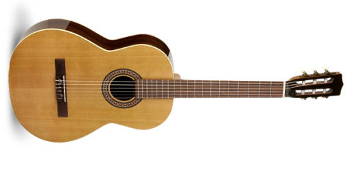 Acoustic/Electric Nylon Guitar - Collection