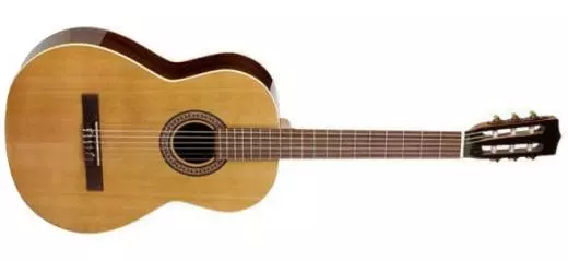 Collection Nylon String Guitar