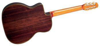 Maccaferri-Style Spruce/Rosewood D-Hole Jazz Guitar