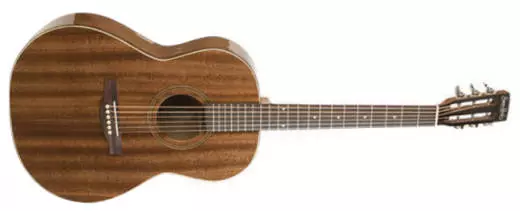 Woodland Pro Folk Guitar - Mahogany