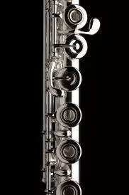 Sterling Silver American GX Flute -  Heavy Wall - Offset G