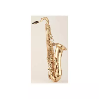 Professional Model T-991 Tenor Sax -  F# Key -  Lacquered