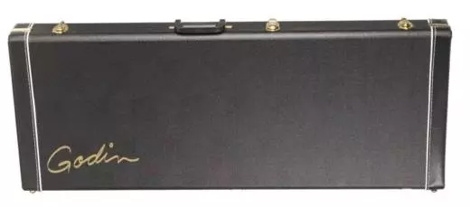 Godin Guitars - Case for ACS/Multiac/Steel