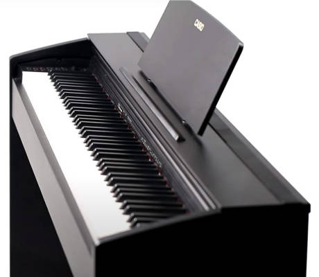 PX-870BK Privia Digital Piano with Stand - Black
