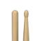Forward Lacquered Hickory Drumsticks (4-Pack) - 5B