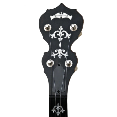 Sierra Mahogany Resonator 5 String Banjo