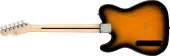 Paranormal Cabronita Telecaster Thinline, Maple Fingerboard - 2-Colour Sunburst