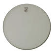 Deering Banjo Company - Renaissance Banjo Head - 11 High Crown
