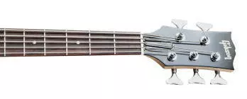 EB Bass 5 String - Natural
