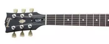 SGJ 2014 - Satin Fireburst - Left Handed