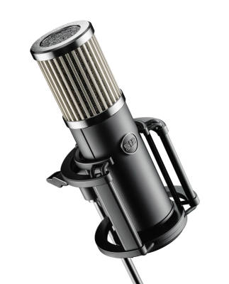 Skylight Studio Condenser XLR Microphone