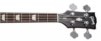 SG Standard Bass - Walnut