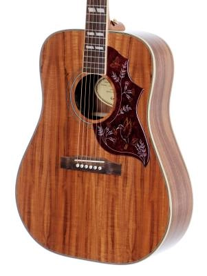 Hummingbird Koa Special