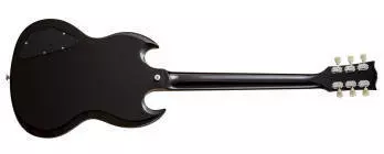 SG Special - Desert Burst