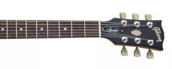 SG Special - Walnut