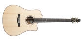 Seagull Guitars - Artist Mosaic CW HG EQ Acoustic\/Electric Guitar with Gigbag