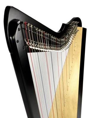 Brilliant! 34 String Harp with Full Levers - Black
