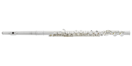 Silver-Plated Alto Flute with Curved & Straight Headjoints
