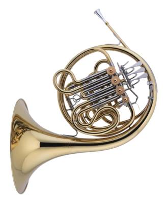 Professional F/Bb Double French Horn with Geyer Wrap