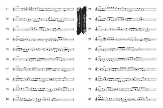 1001 Jazz Licks: A Complete Jazz Vocabulary for the Improvising Musician - Shneidman - T.C. Instruments - Book