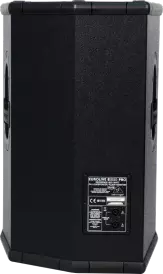 Enceinte professionnelle de 1200 watts - 15 pouces