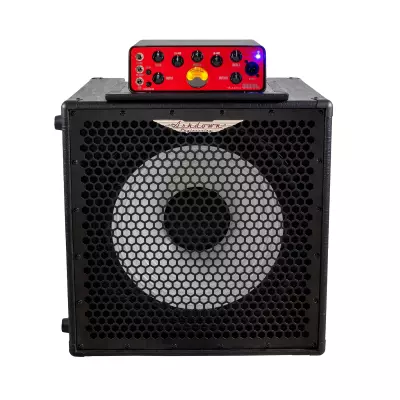Ashdown Engineering - OriginAL C115T-300 Kickback Combo